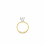 Round Brilliant Pavé Band Lab-Grown Diamond Ring - Image 4
